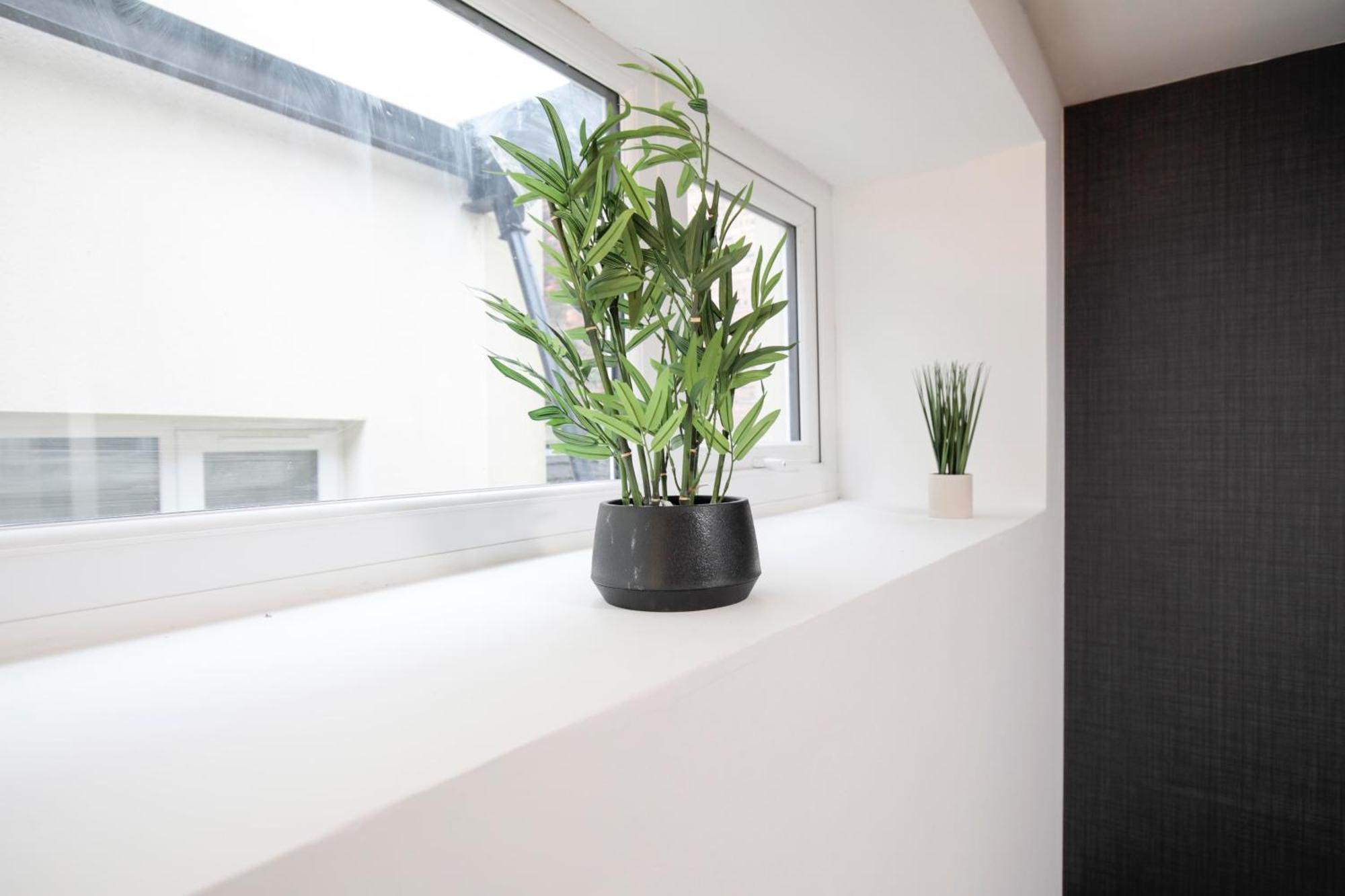 Apartment Bartlam Place, Sleeps 6, Free Parking, - By Nmb